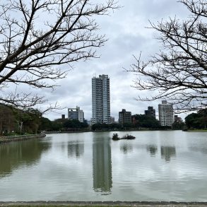 碧湖水岸豪宅「碧湖畔」台灣房屋提供