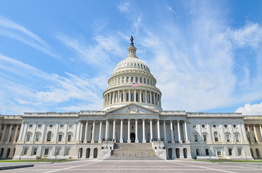 us 113019124