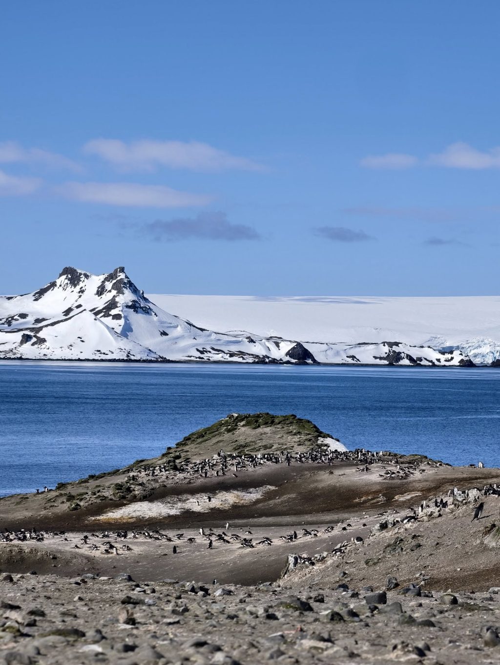 586054613 1412661850224256 8206844177643980571 n