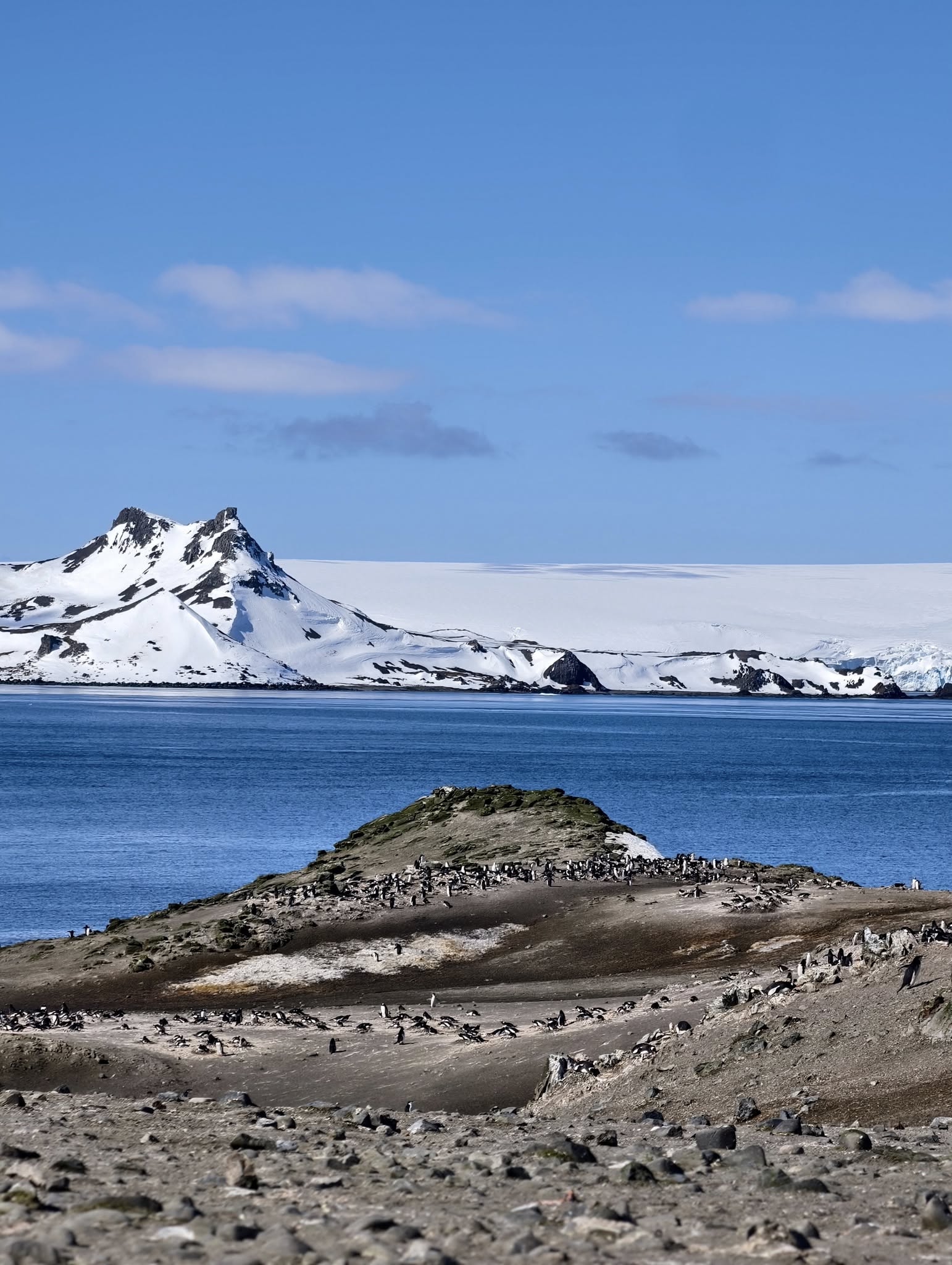 586054613 1412661850224256 8206844177643980571 n