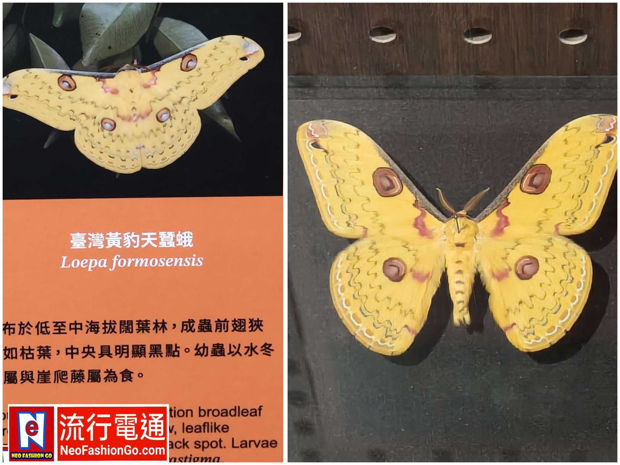 588530218 10163589823299621 4559969990915821984 n