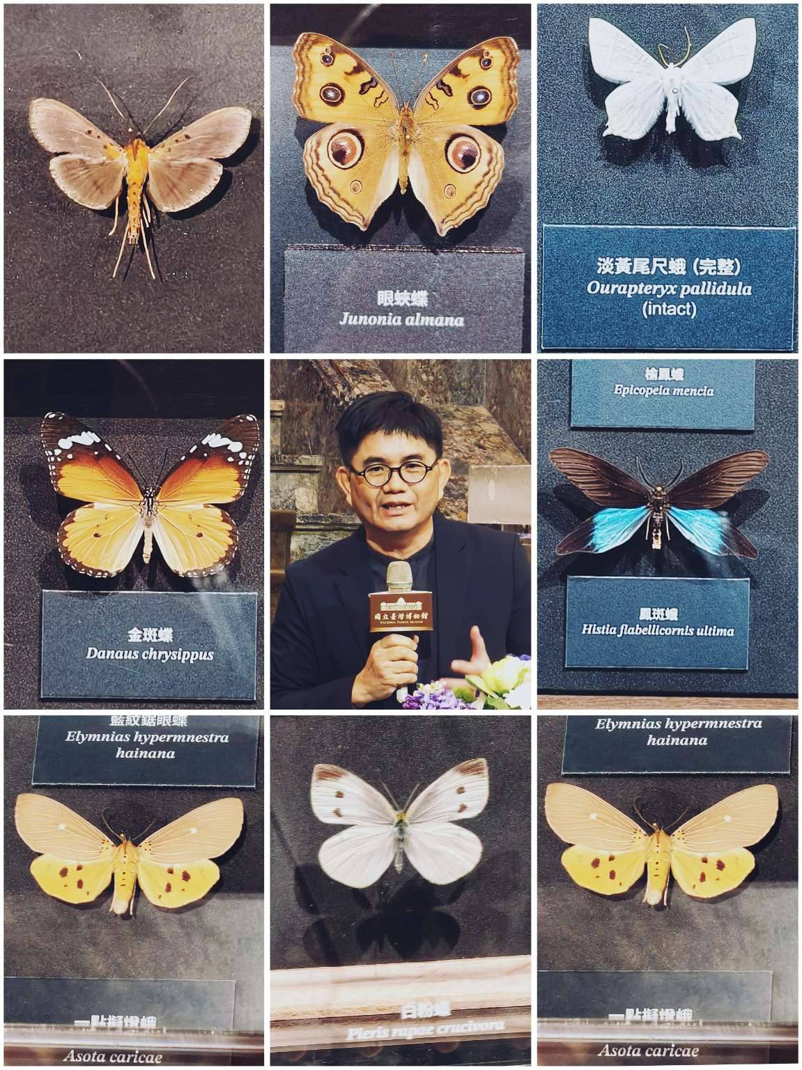 588533513 10163589822749621 4804257070730740606 n