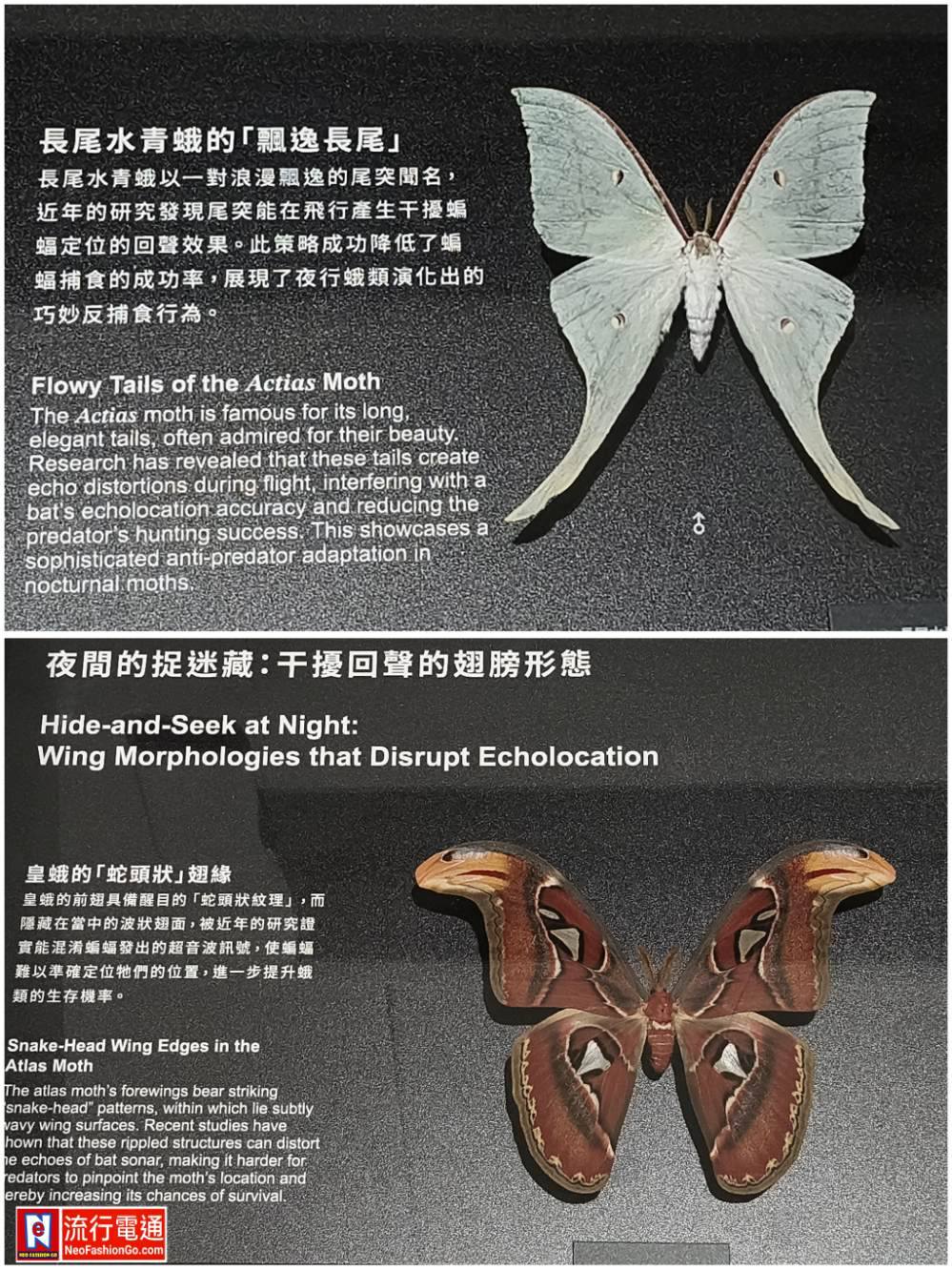 588559127 10163589822594621 3715962375505490725 n