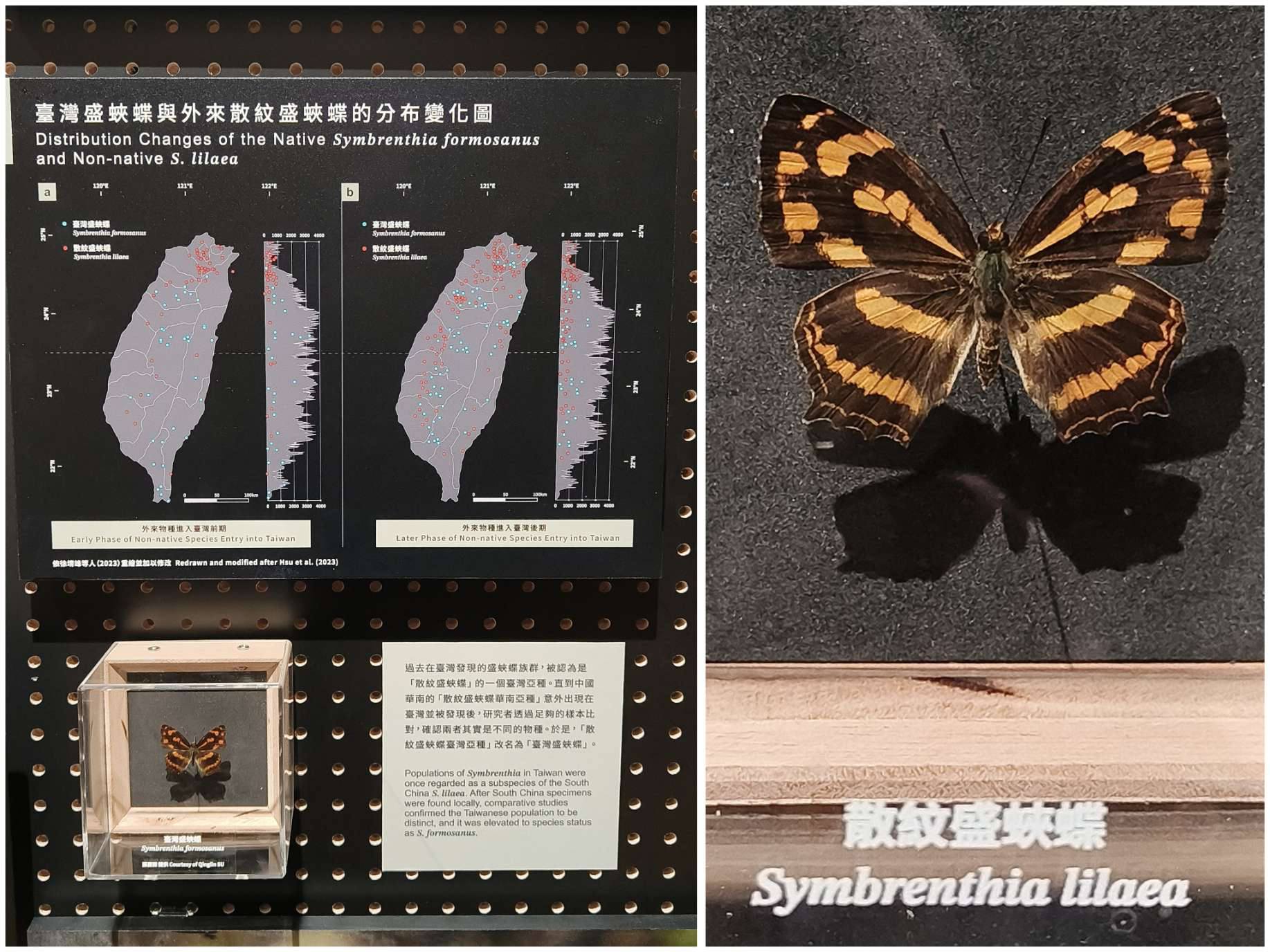 590138077 10163589822874621 5500852196929646901 n