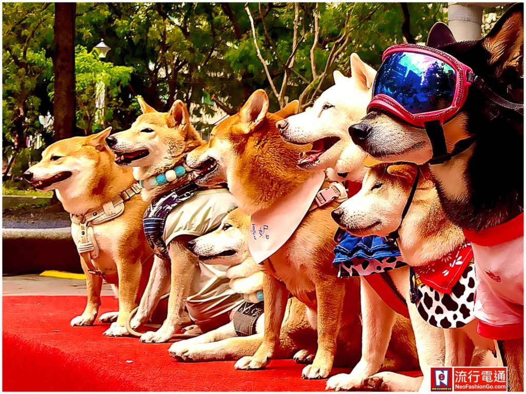 gridart 20251115 174357581 copy 1503x1127