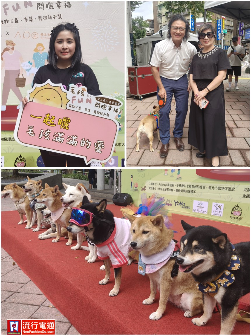 gridart 20251115 174957713 copy