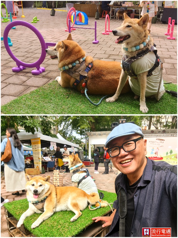 gridart 20251115 175624916 copy