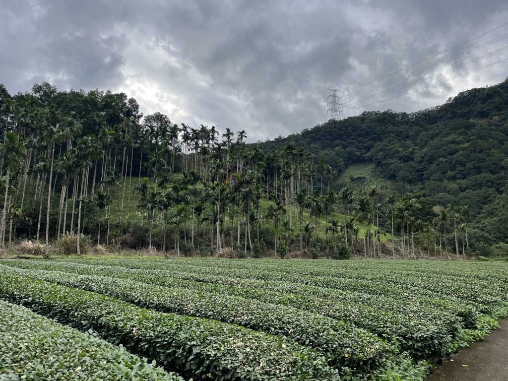 1365d6ab b473 4d1c 9ffa f34504feedb7 e1765157027562