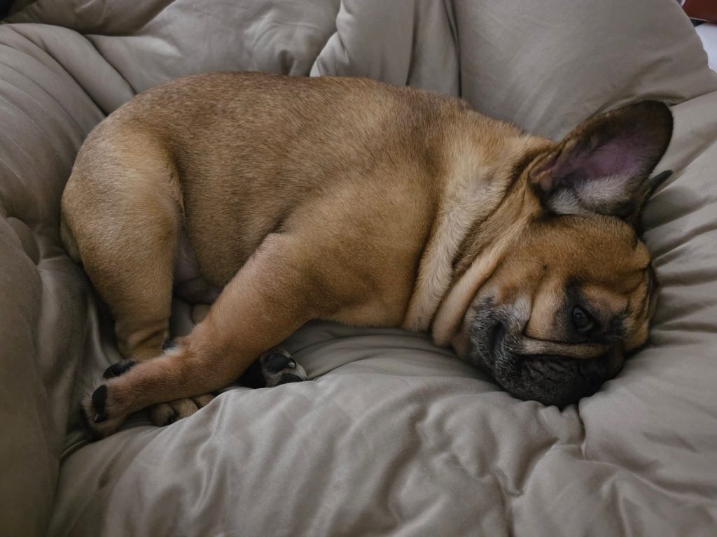 fb img 1766862183085