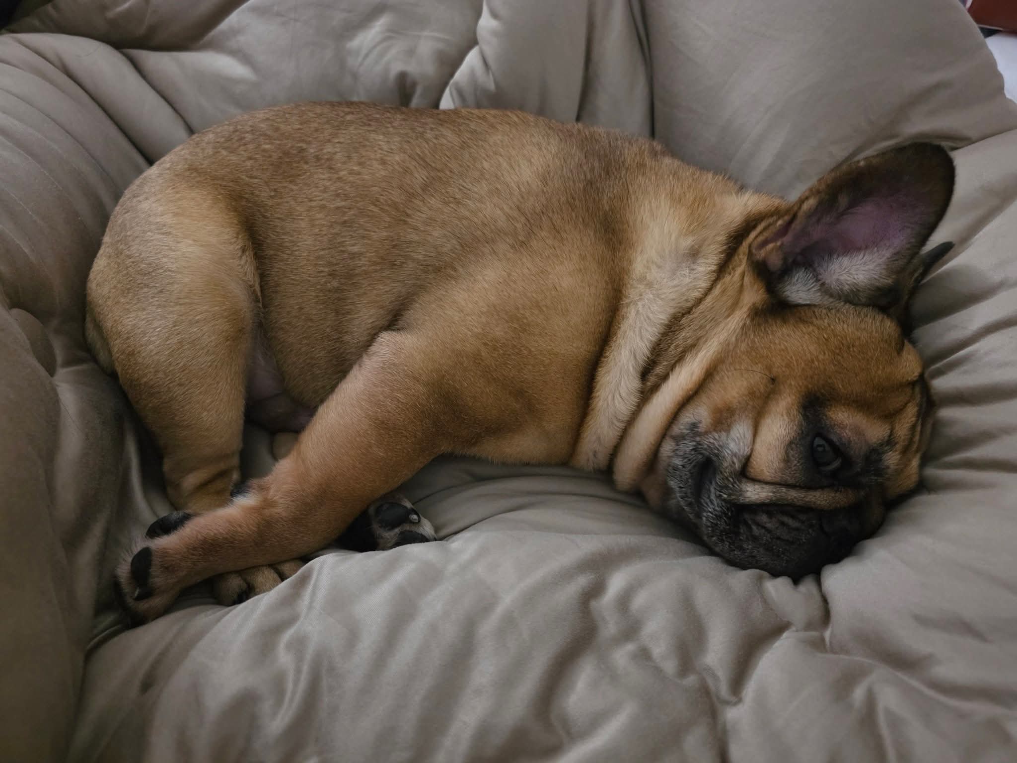 fb img 1766862183085