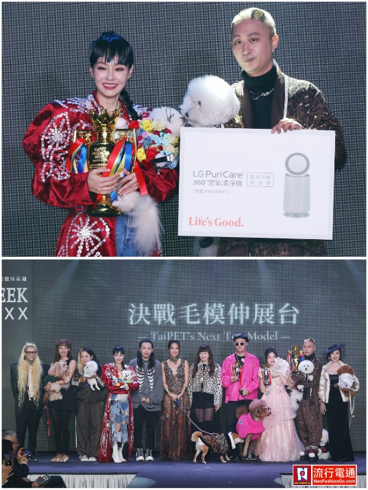 gridart 20251207 035358311 copy