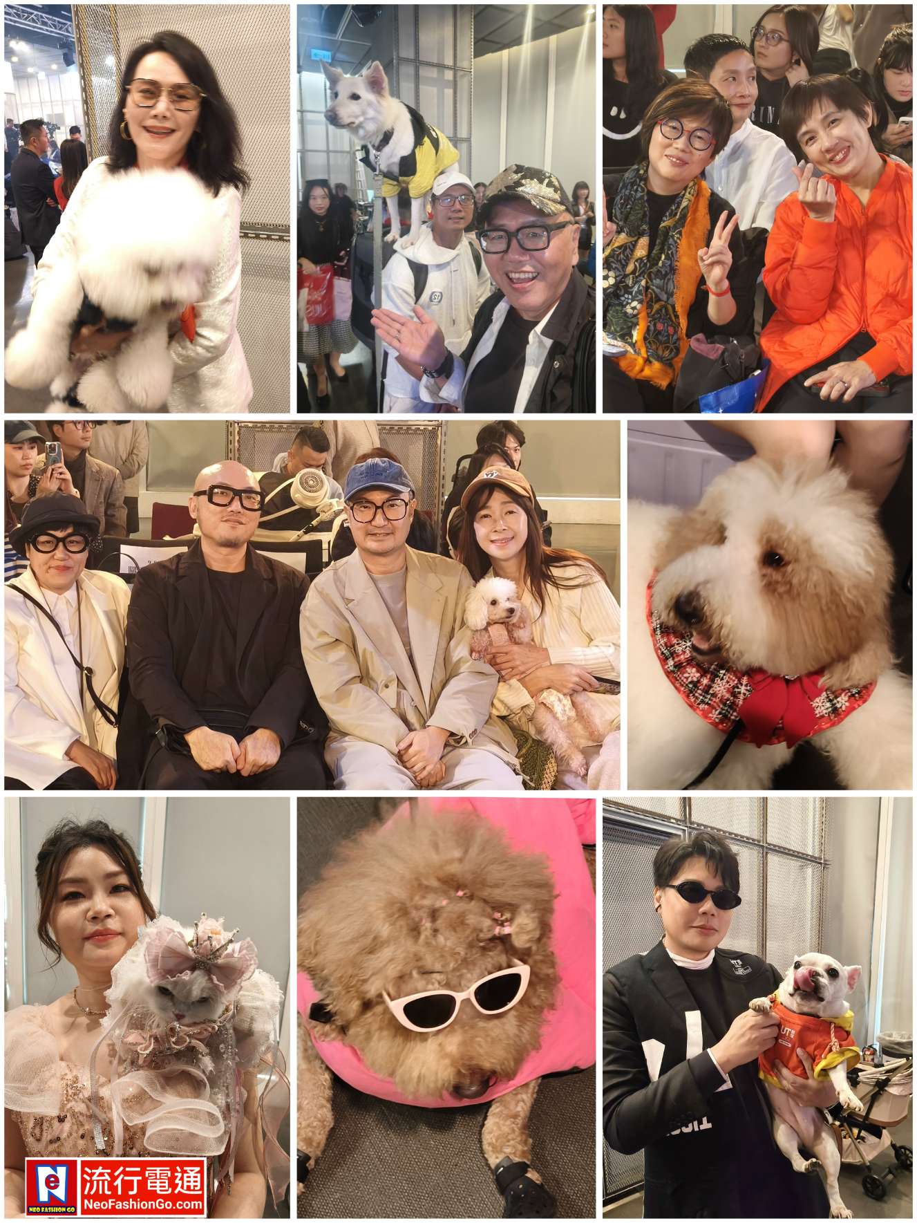 gridart 20251207 040305999 copy