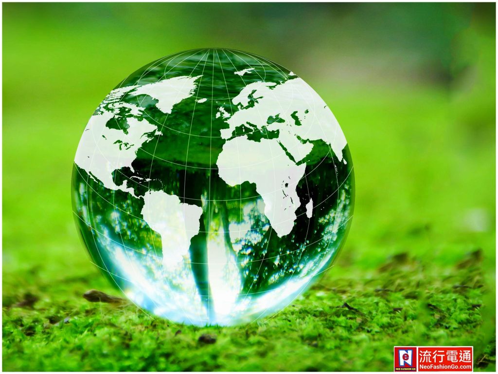 gridart 20251228 164043629 copy 2335x1751