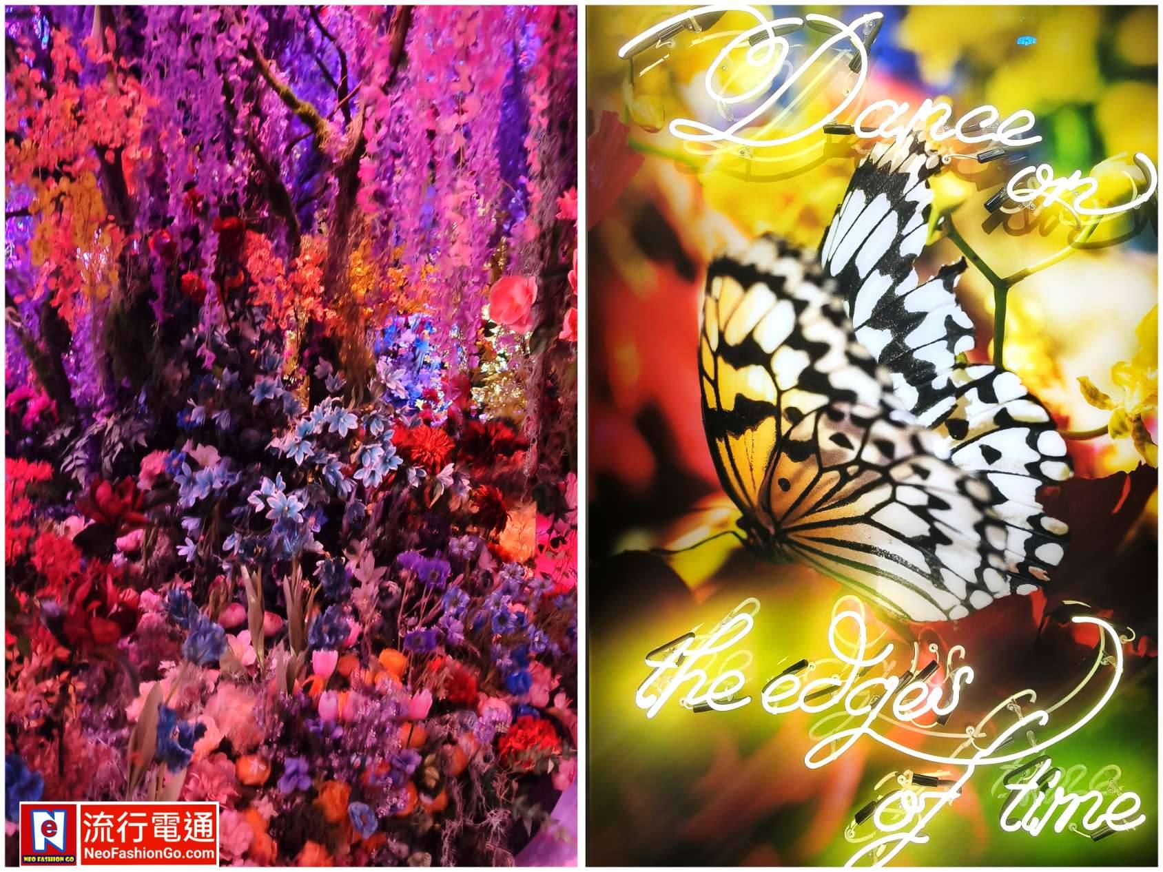 615564231 10163825978189621 3264821712901400111 n