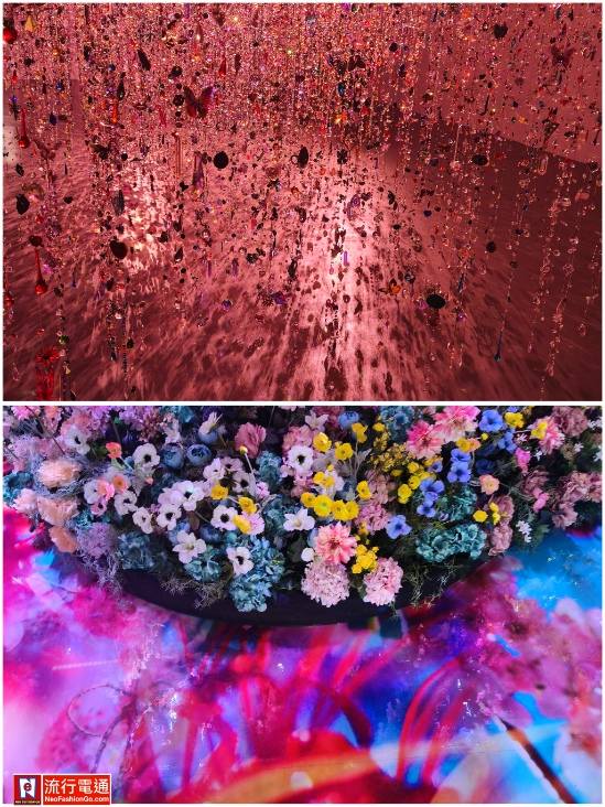 615786523 10163825978364621 6890889917586892639 n