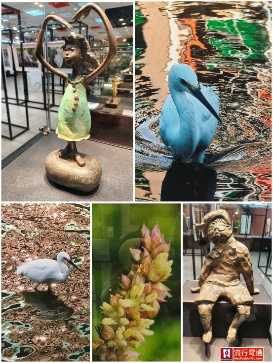 622128225 10163860144764621 2231339287232966628 n 1 1