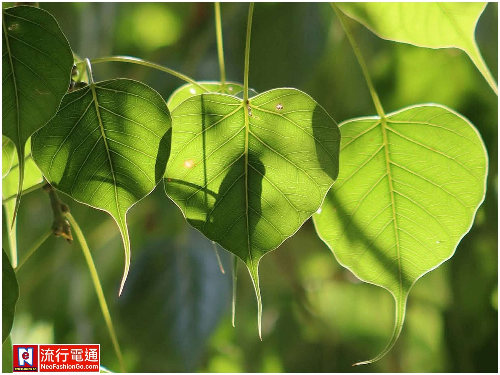 622395272 10163865642344621 995626462191173886 n