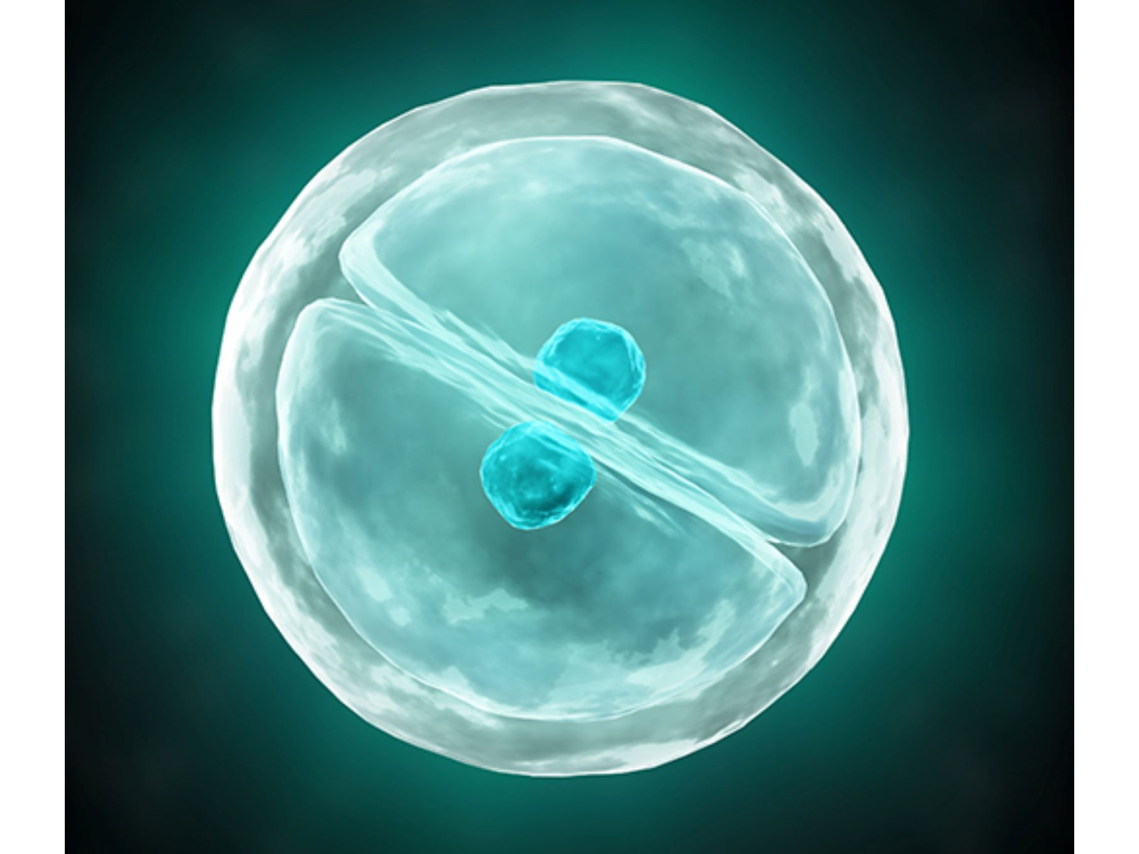 nb26cbefb705c3f0f62f7981c17a60322 yqqjwf