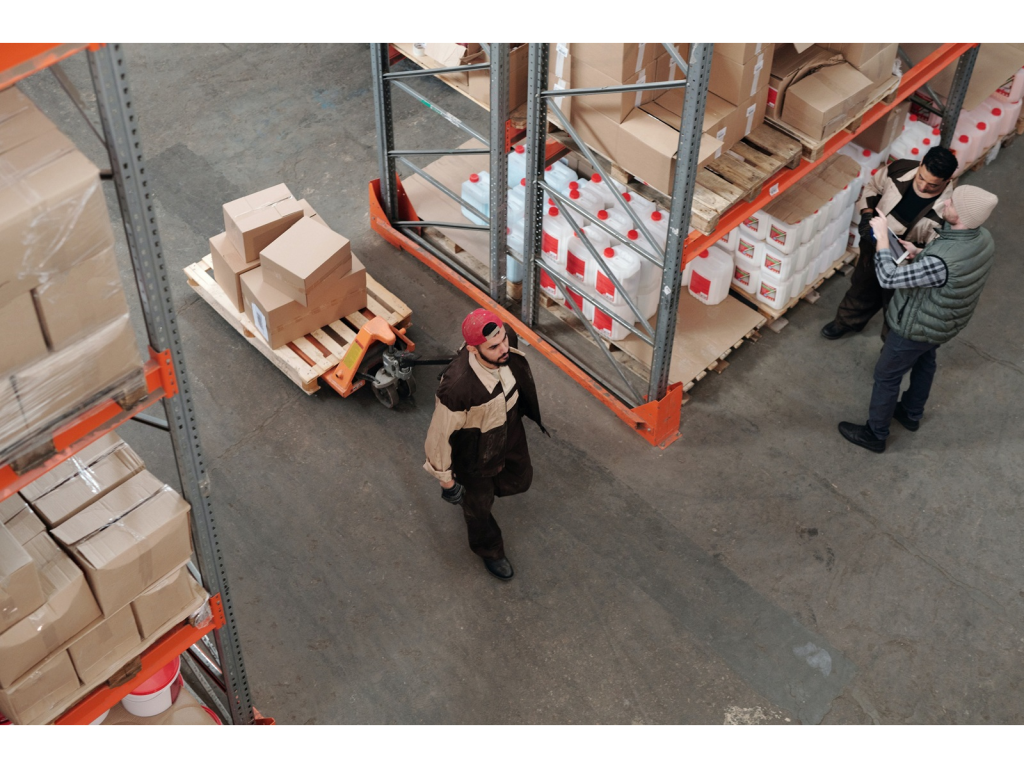 pexels tiger lily 4481259321651561 nqrtza