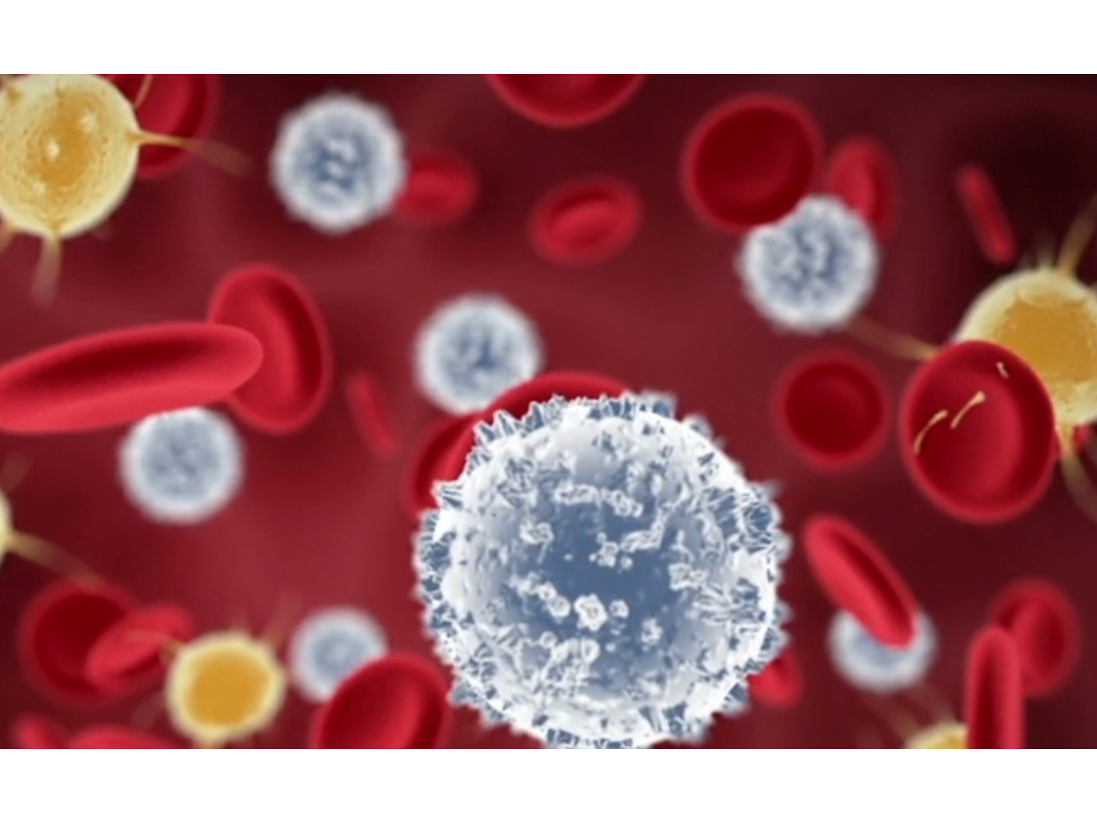 1771827244458 vzlc0o