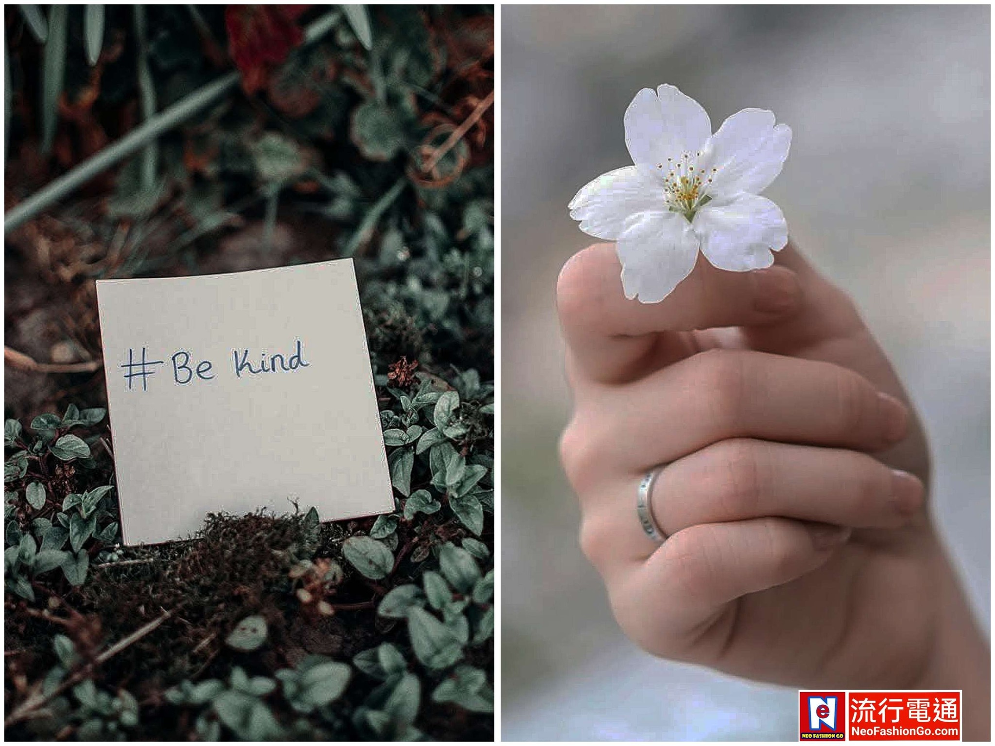 638583731 10163995282014621 1585082786959455980 n