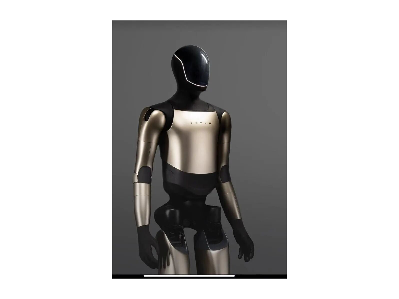 tesla20optimus20260202 cqhfsi