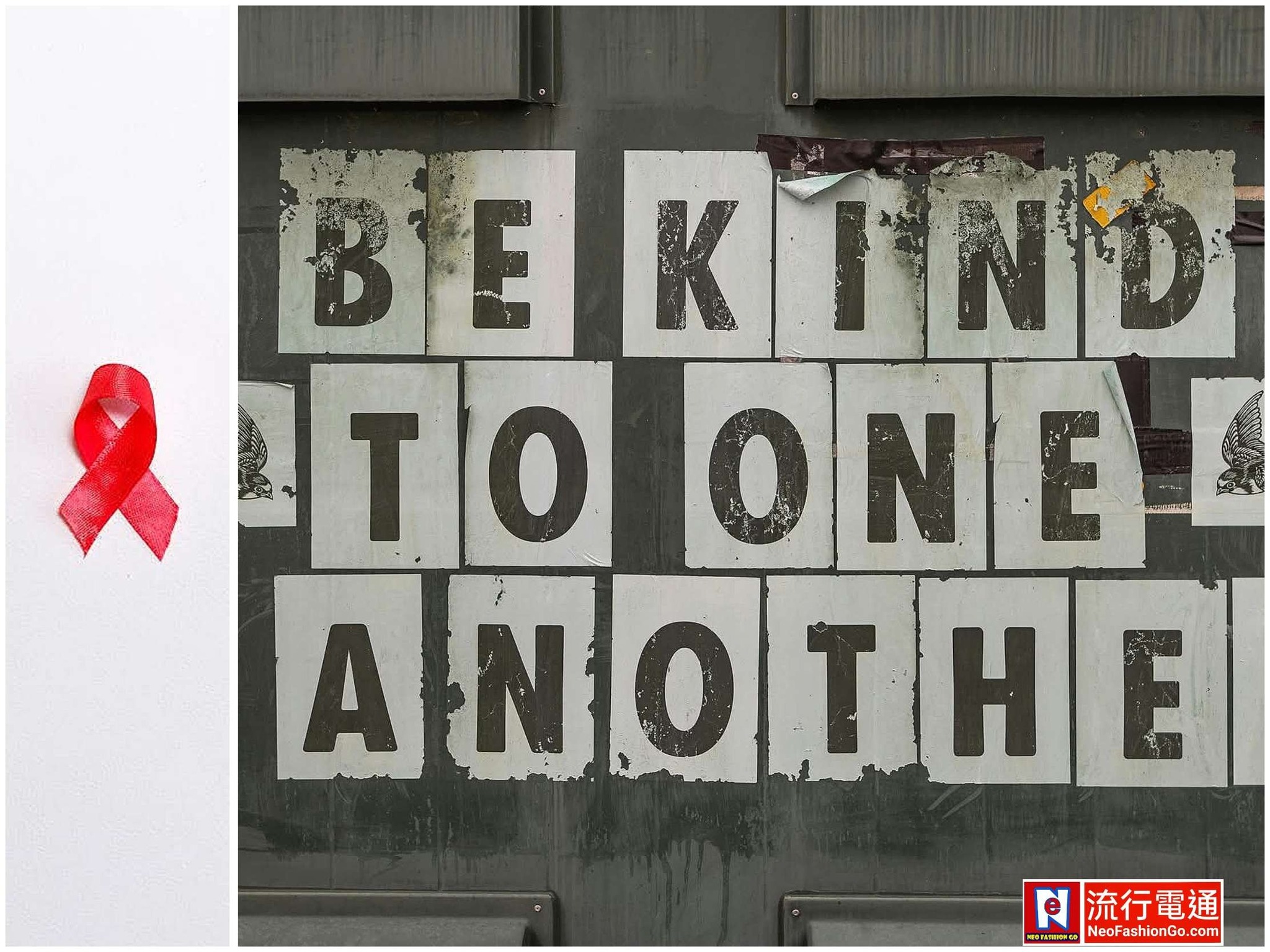 644478810 10164023501279621 4101706028299004596 n