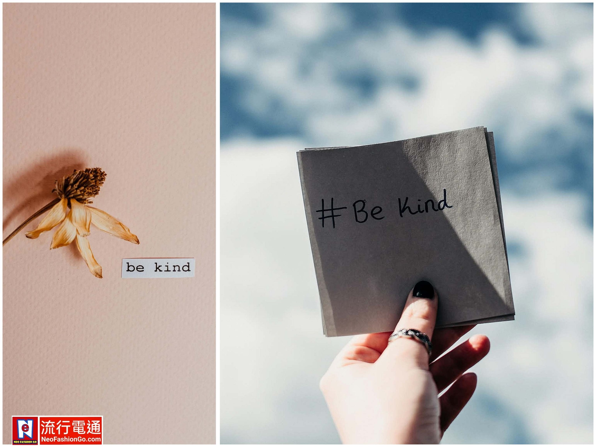 644494278 10164023501434621 8914928740699137165 n