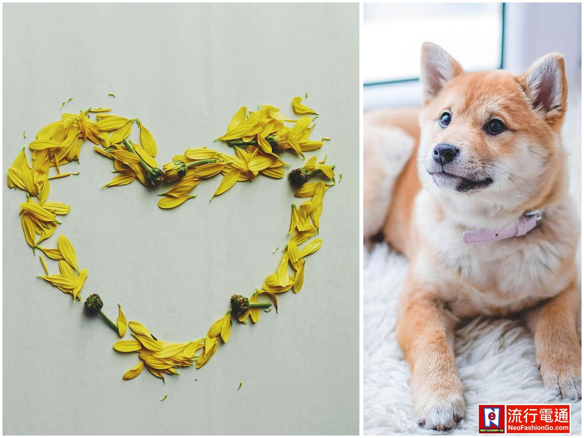 644496544 10164023500689621 2428047562926599602 n