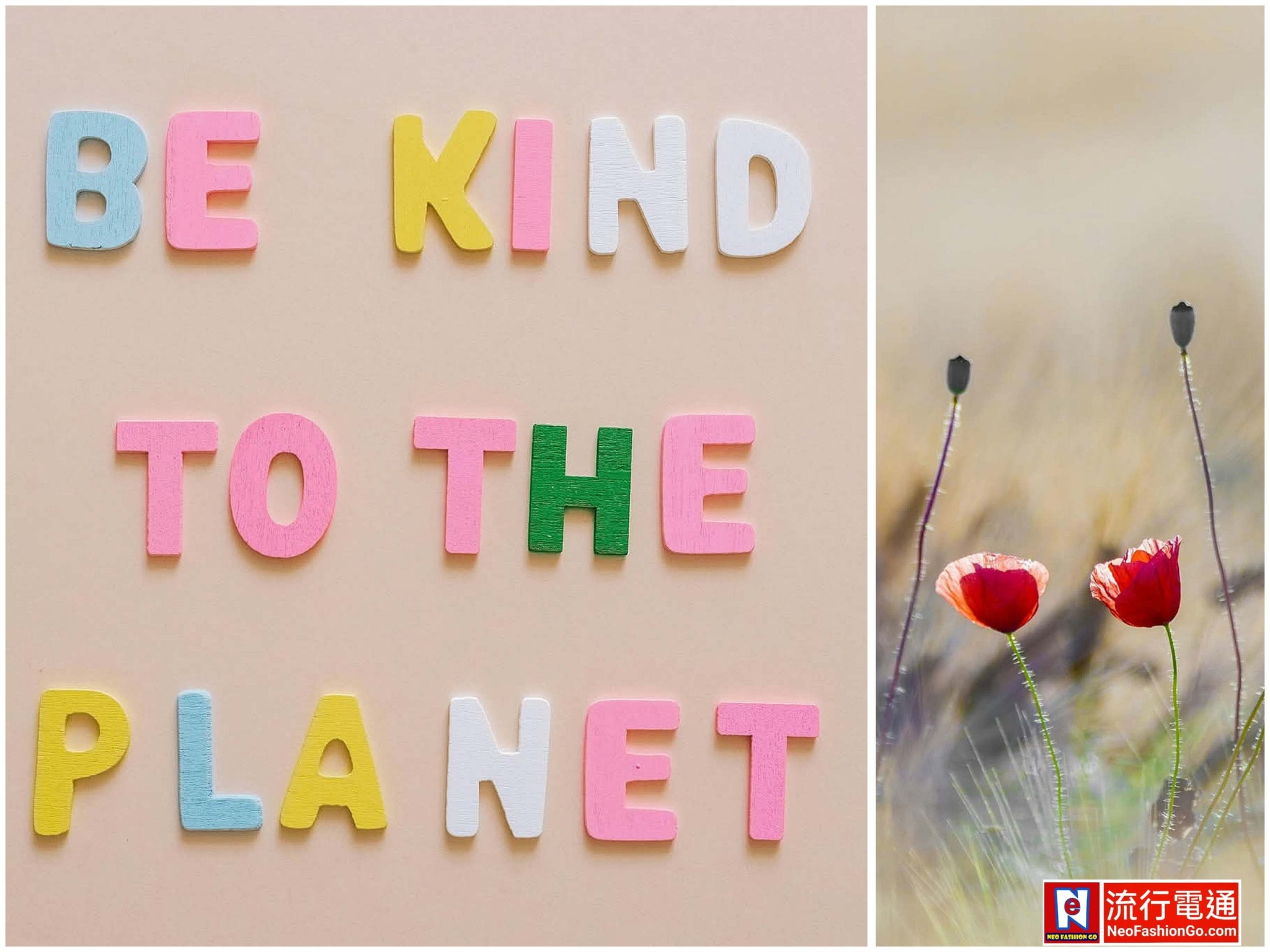 645206239 10164023500529621 1665724002526022271 n