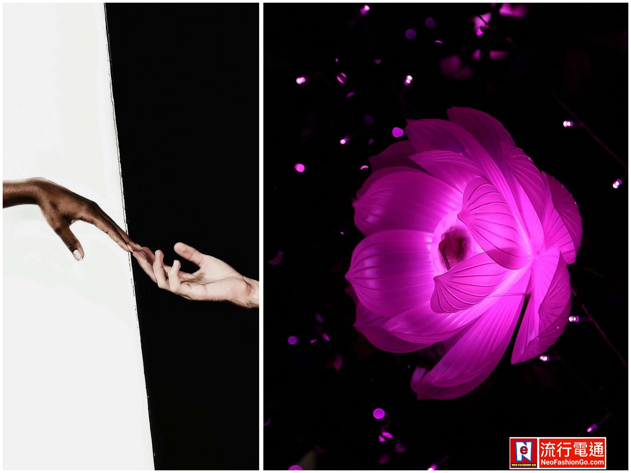 646091928 10164023500864621 4311986493176691976 n