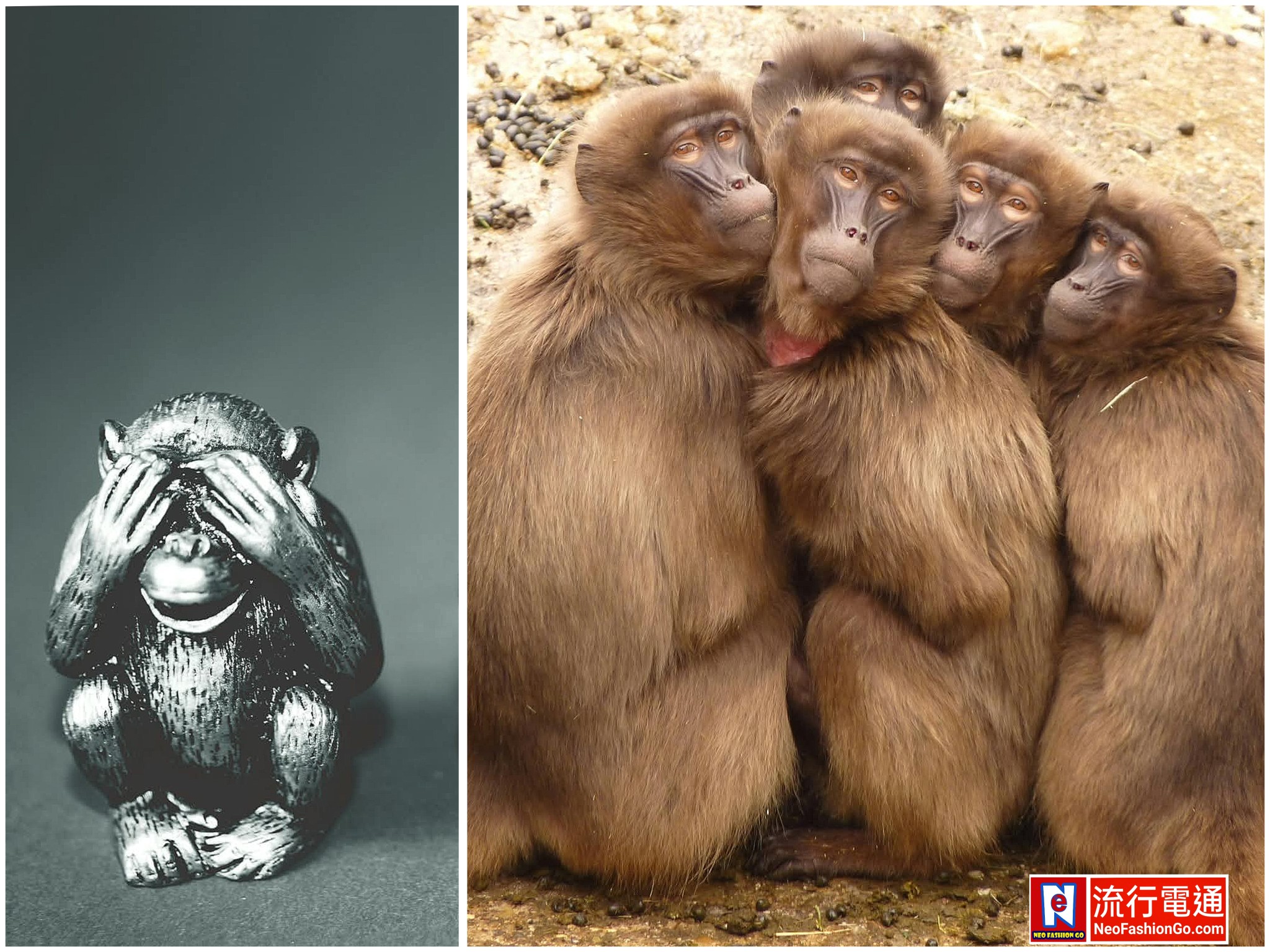 650248862 10164087395899621 4585017347272915294 n