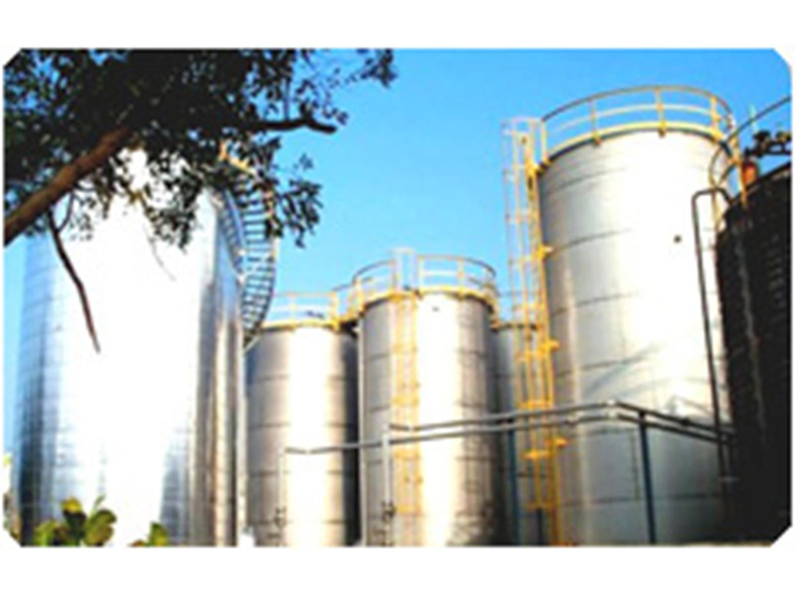 w 08080552315165156 m516515 spffbq