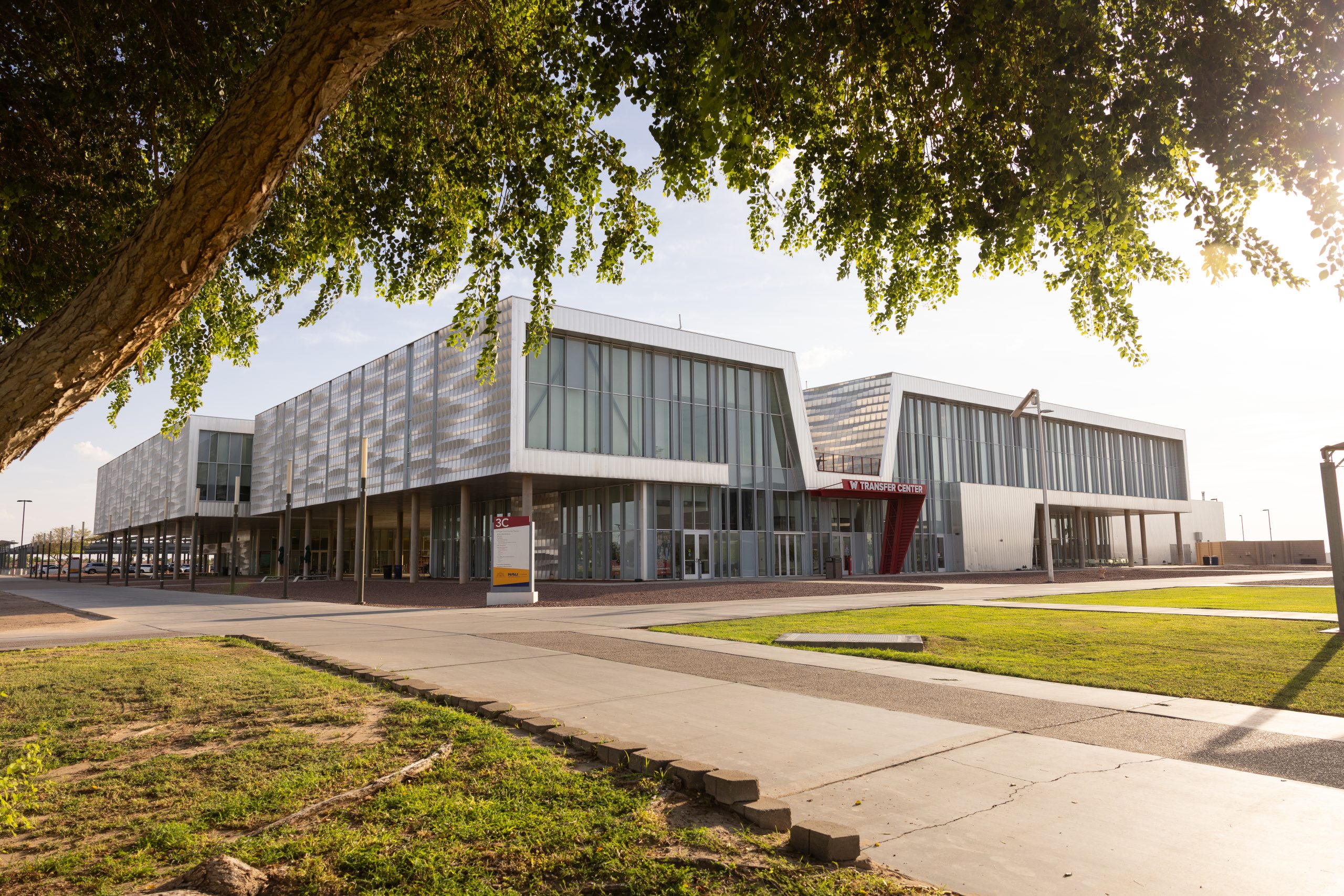 A modern, multi-story building with extensive glass and metal facades is framed by the branches of a large tree, set against a bright sky with green lawns and sidewalks in the foreground.