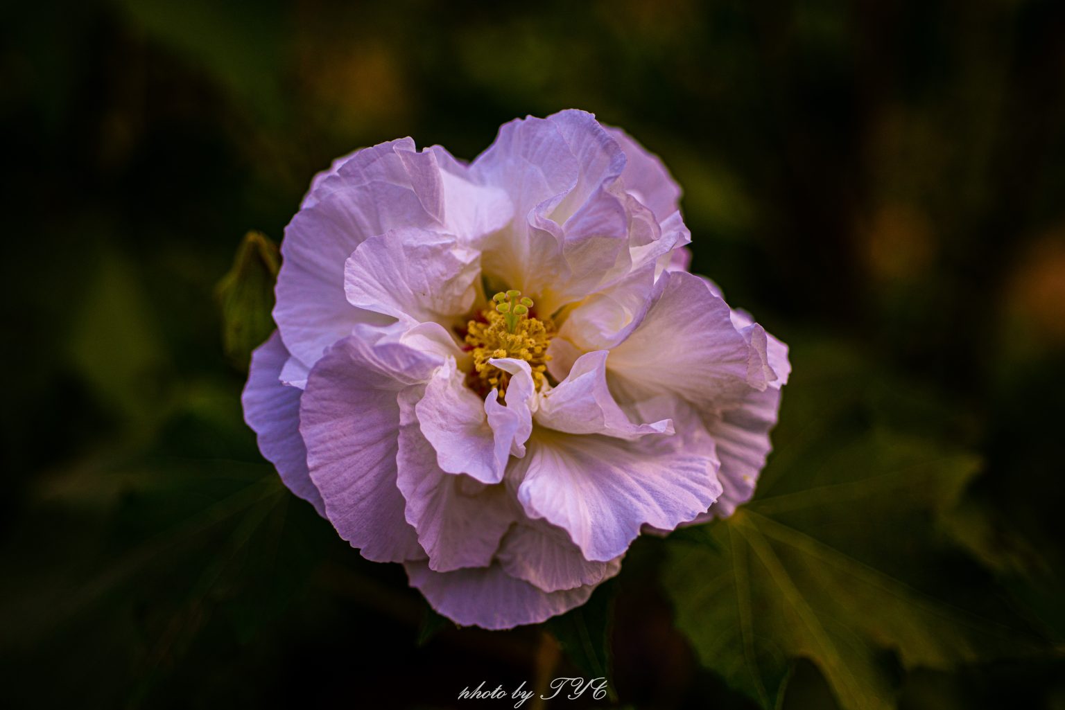 20141106 dsc4968