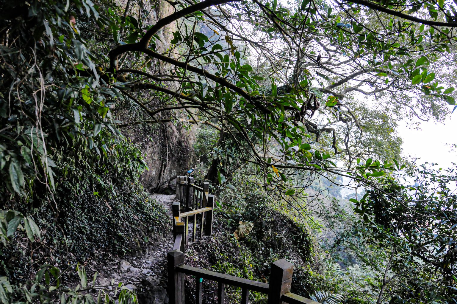 20150123 dsc 5340
