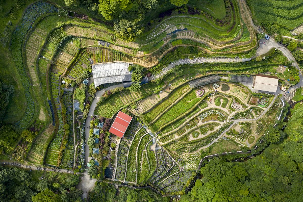 img 0176