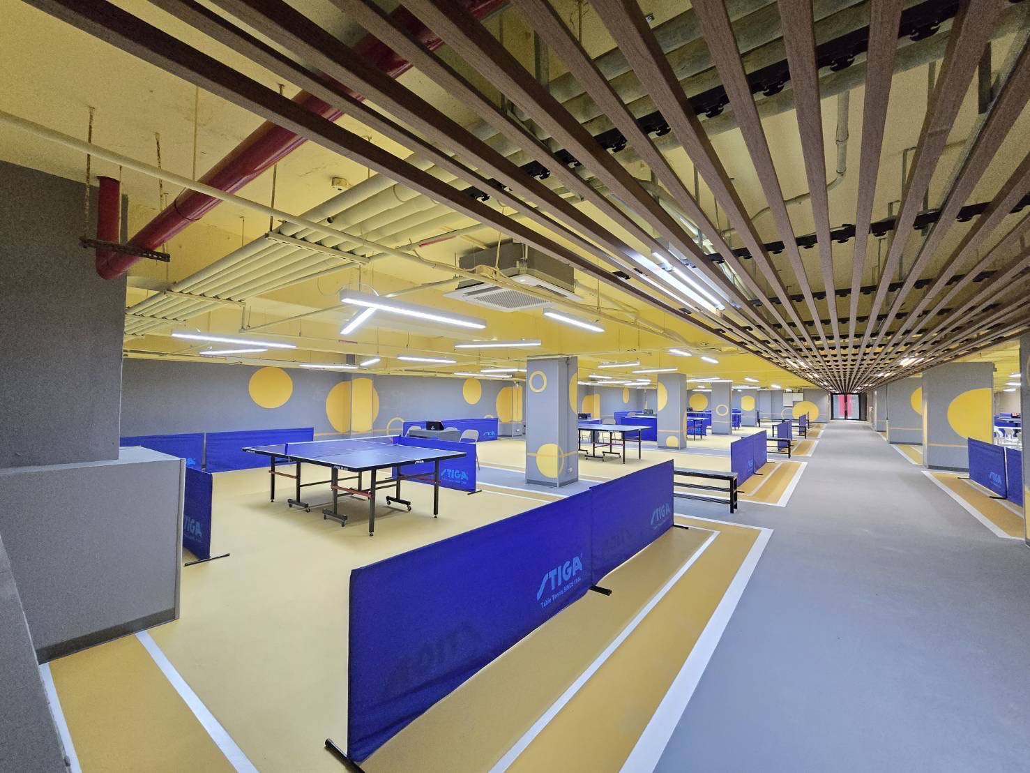 img 0207 1