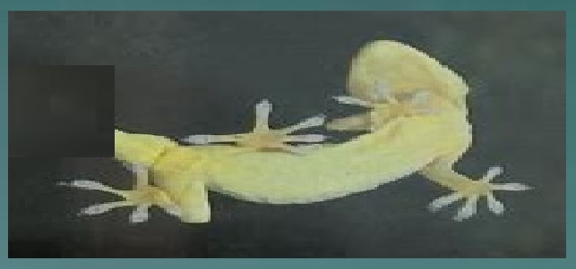 j20261004081645 o